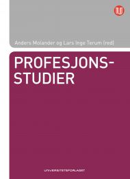 Profesjonsstudier